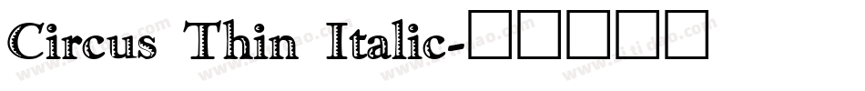 Circus Thin Italic字体转换